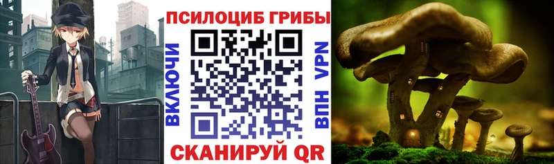 Псилоцибиновые грибы мухоморы  Суровикино 
